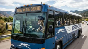 greyhound puns